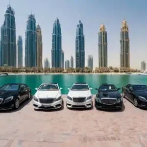 Explore the UAE at Your Own Pace!